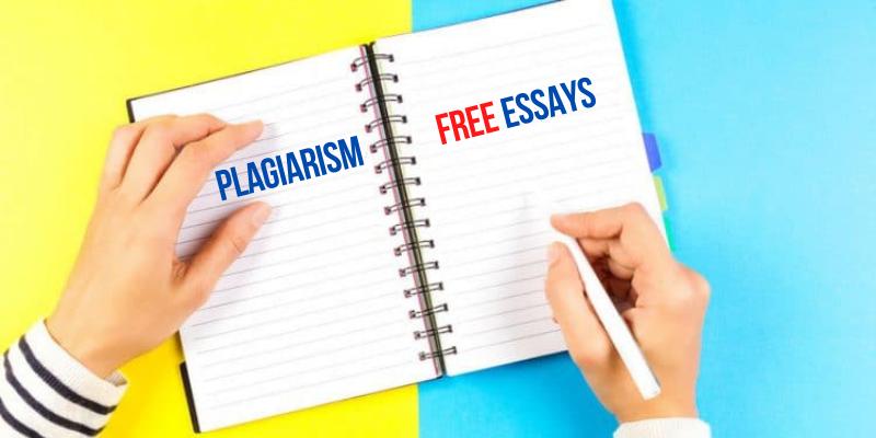 free essay no plagiarism